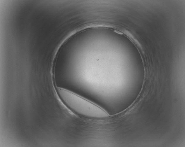 X0000073701189200608031007