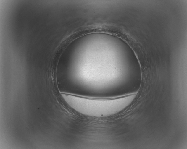 X0000073701206200608031006