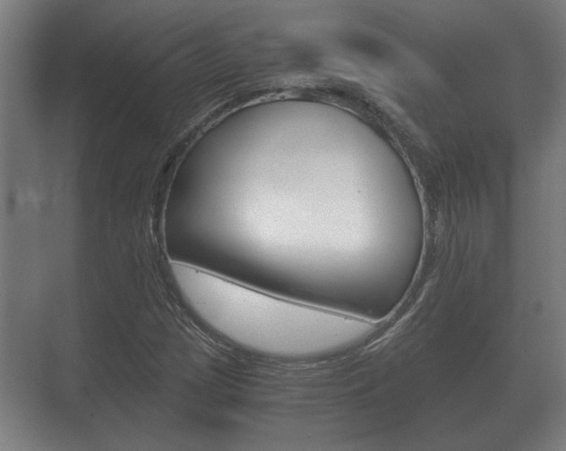 X0000073701209200608031006