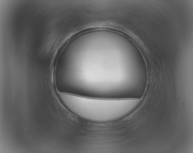 X0000073701224200608031006