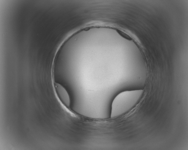 X0000073701247200608031006