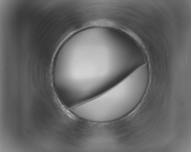 X0000073701248200608031006