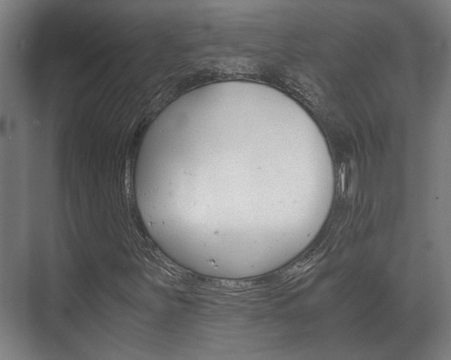 X0000073701251200608031005