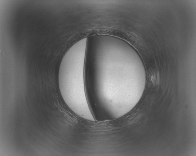 X0000073701252200608031005