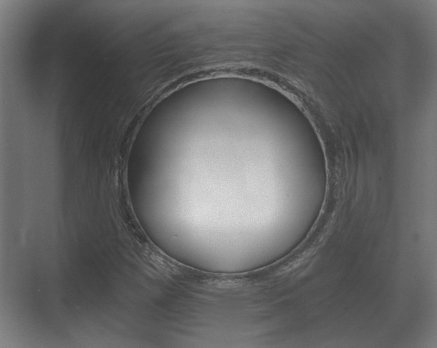 X0000073701257200608031005
