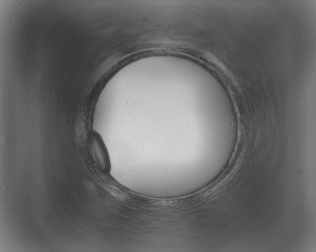 X0000073701259200608031005