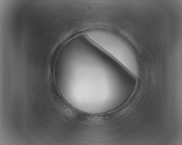 X0000073701261200608031005
