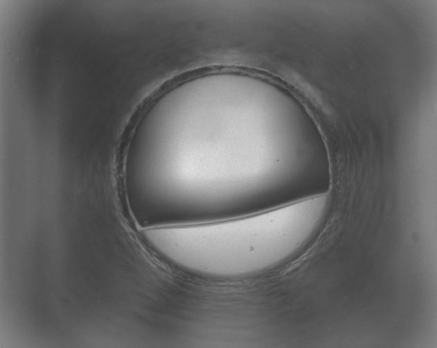 X0000073701264200608031005