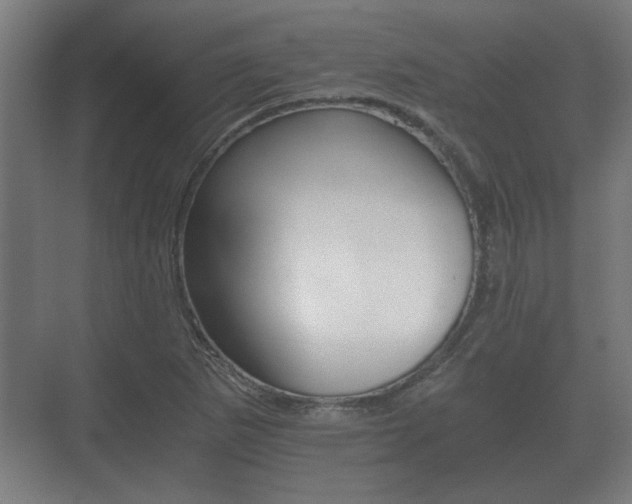 X0000073701265200608031005