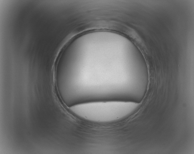 X0000073701275200608031005