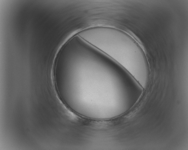 X0000073701293200608031005