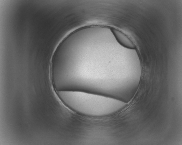 X0000073701295200608031005