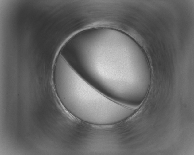 X0000073701296200608031005