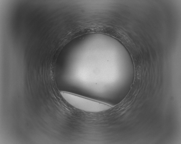 X0000073701298200608031004