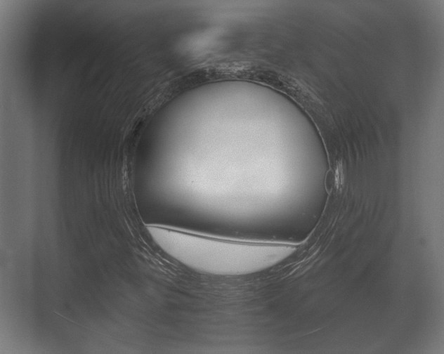X0000073701299200608031004