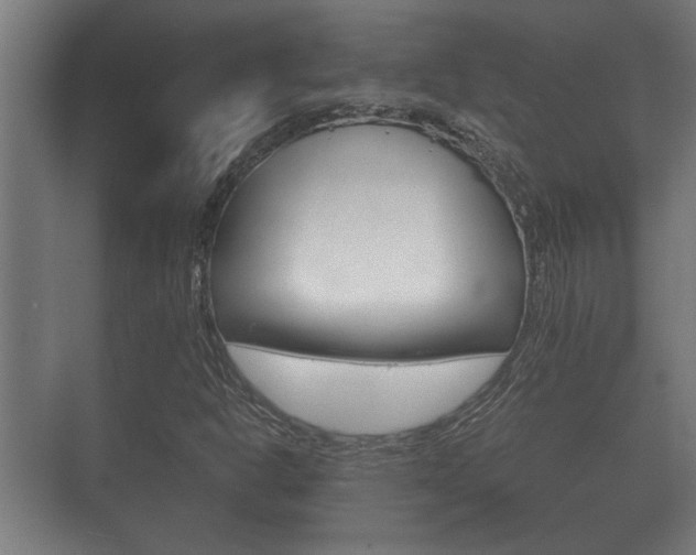 X0000073701302200608031004