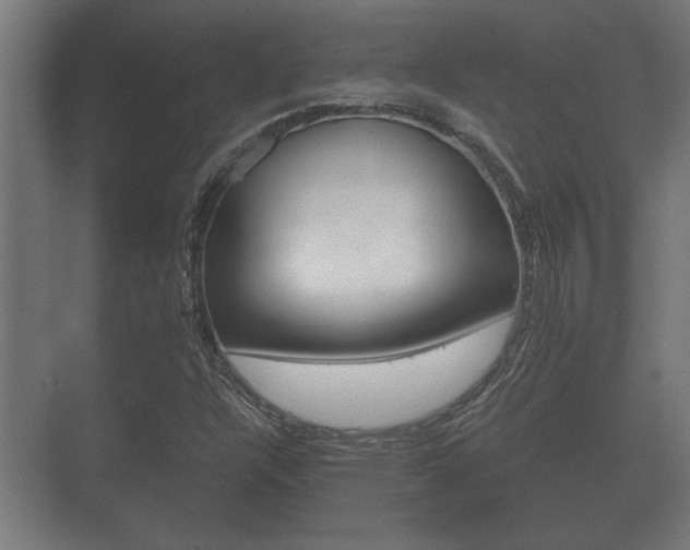 X0000073701304200608031004