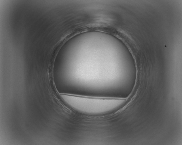 X0000073701305200608031004