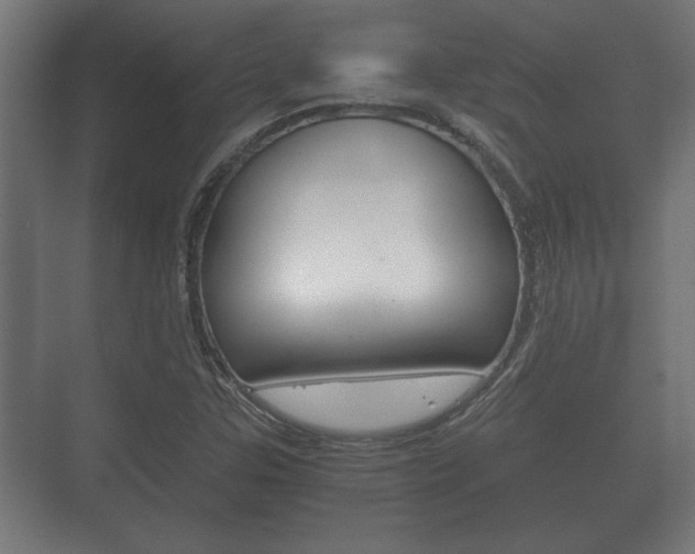 X0000073701307200608031004