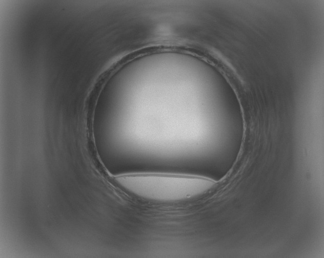 X0000073701315200608031004