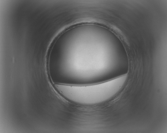 X0000073701326200608031004