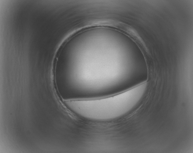 X0000073701328200608031004