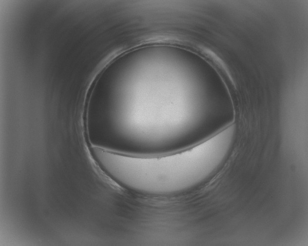 X0000073701330200608031004