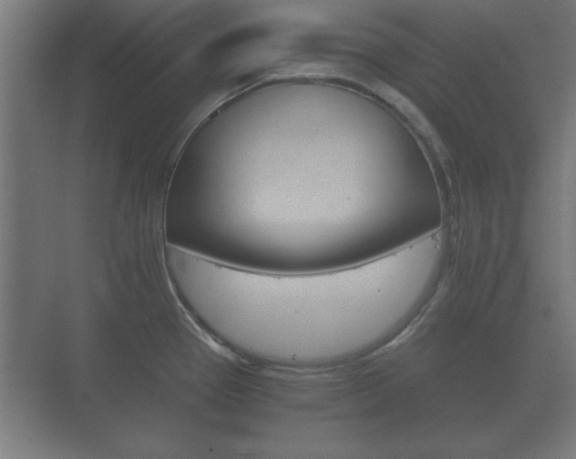 X0000073701337200608031005