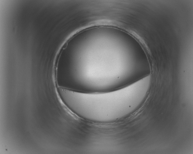X0000073701342200608031005