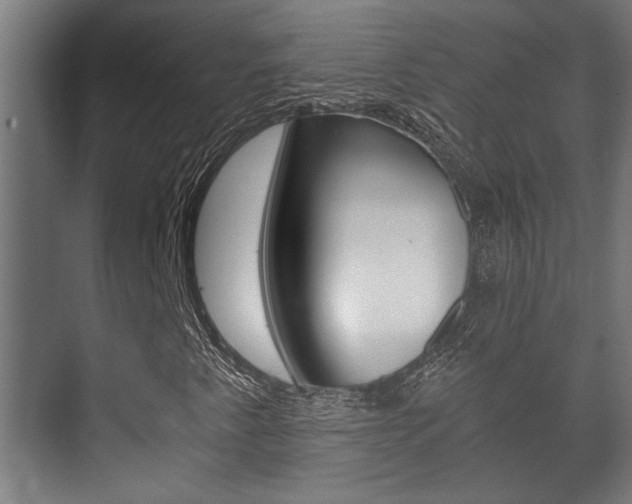X0000073701345200608031004
