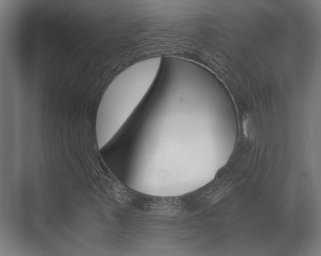 X0000073701347200608031004