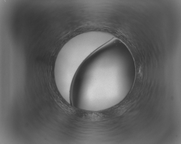 X0000073701348200608031004