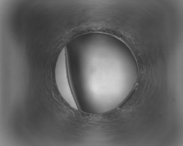 X0000073701349200608031004