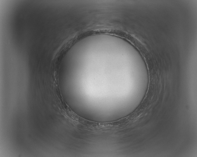 X0000073701351200608031004