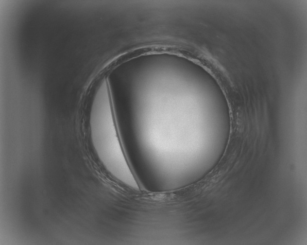 X0000073701352200608031004