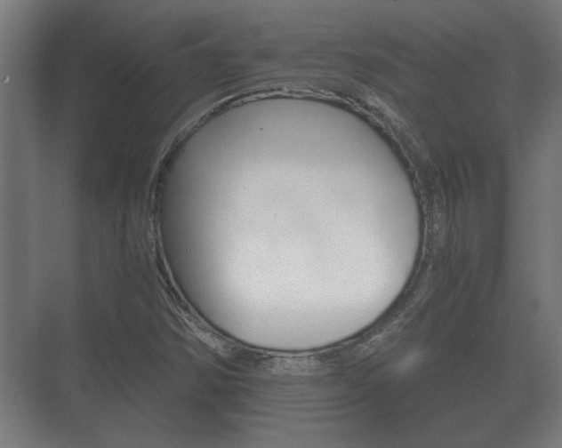X0000073701354200608031004