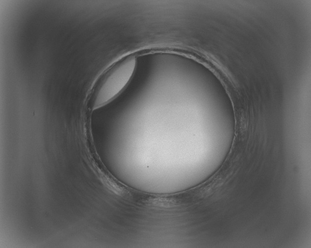 X0000073701356200608031004