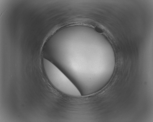 X0000073701362200608031004
