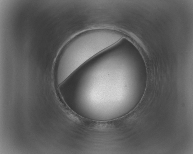 X0000073701364200608031004