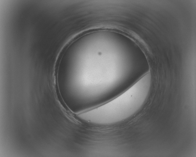 X0000073701372200608031003