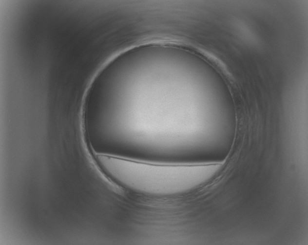 X0000073701375200608031003