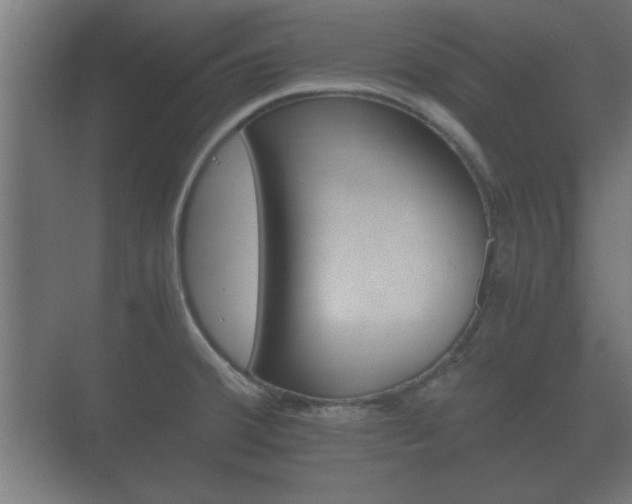 X0000073701380200608031003