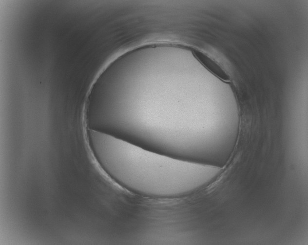 X0000073701382200608031003