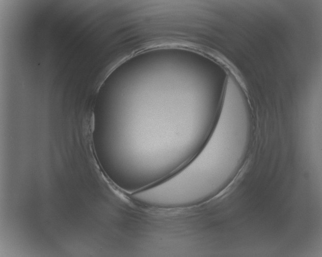 X0000073701385200608031003