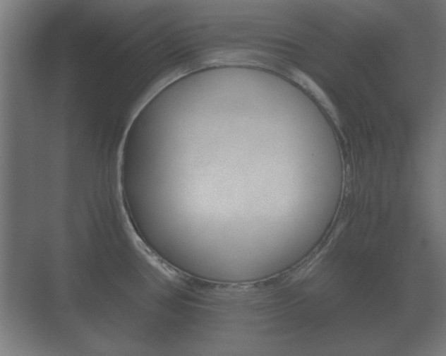 X0000073701386200608031003