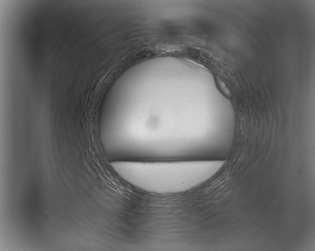 X0000073701393200608031002