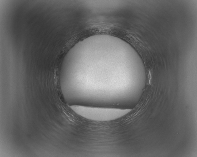 X0000073701395200608031002