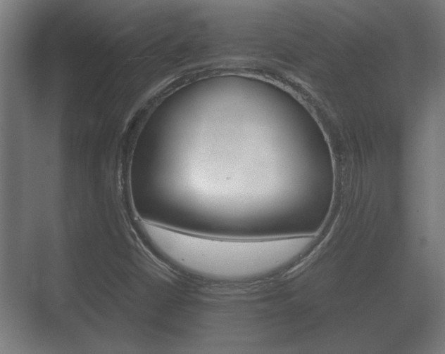 X0000073701402200608031002
