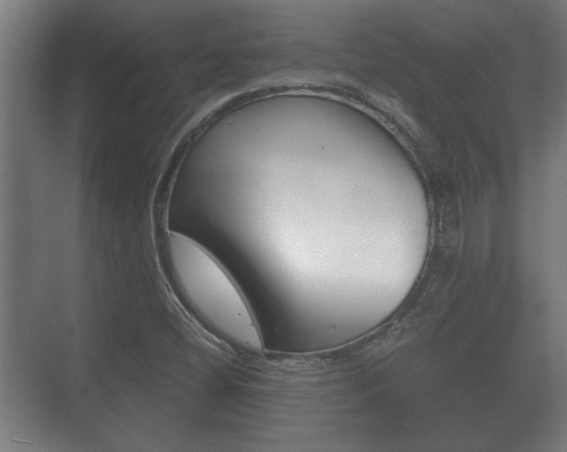 X0000073701404200608031002