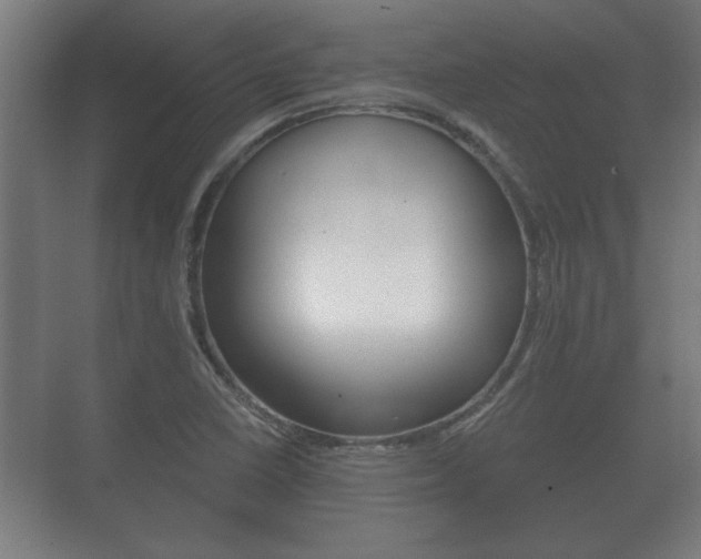 X0000073701410200608031003